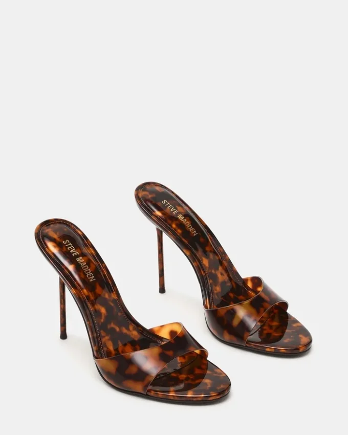 Davina Tortoise Davina Tortoise