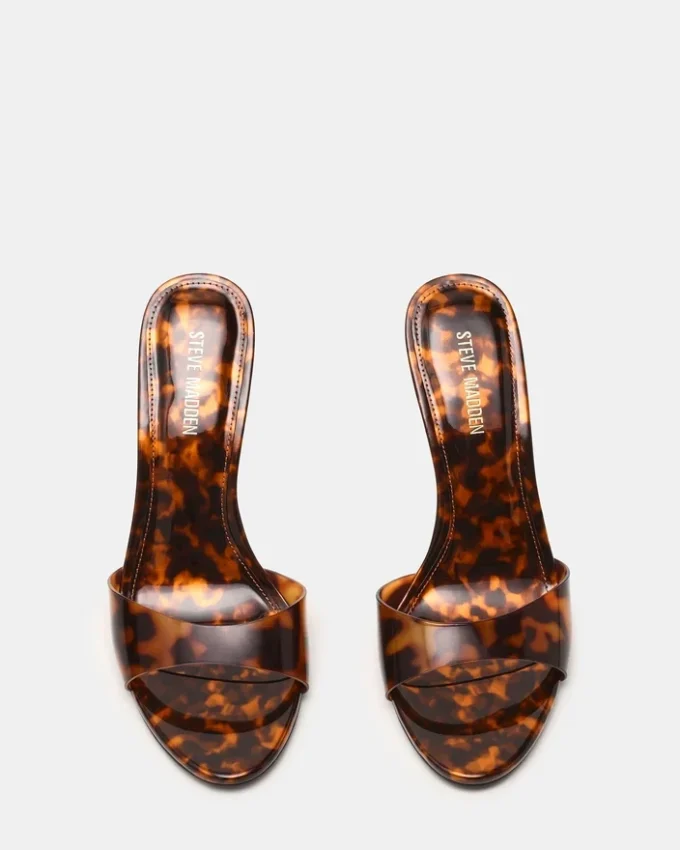 Davina Tortoise Davina Tortoise