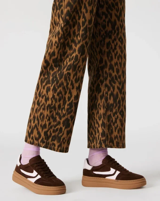 Dodge Braun Multi Dodge Braun Multi