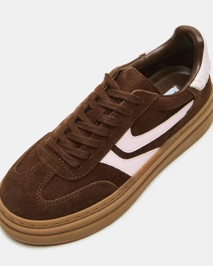 Dodge Braun Multi Dodge Braun Multi