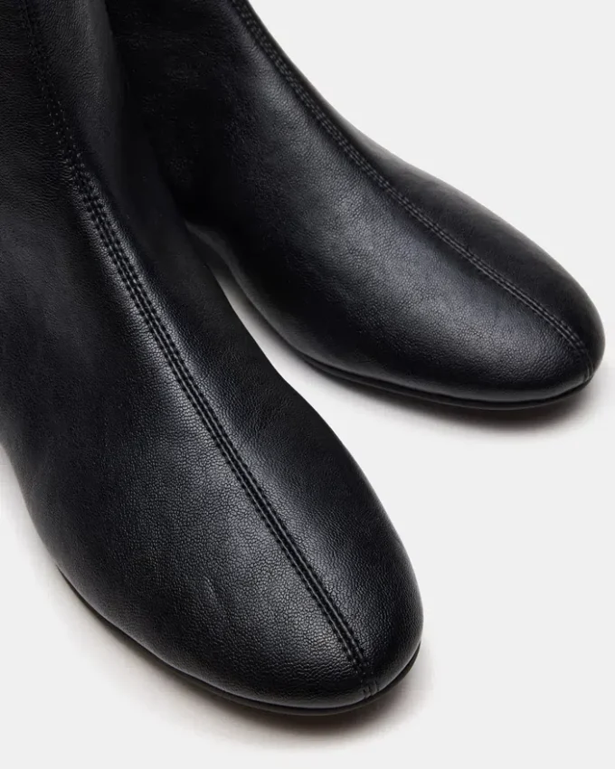 Finch Black Finch Black