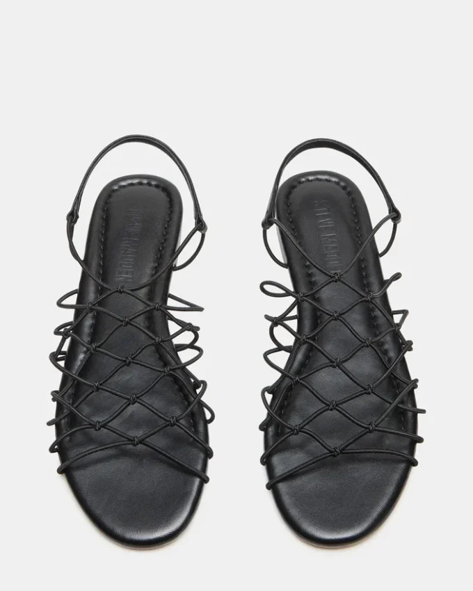 Libra Schwarz Libra Schwarz