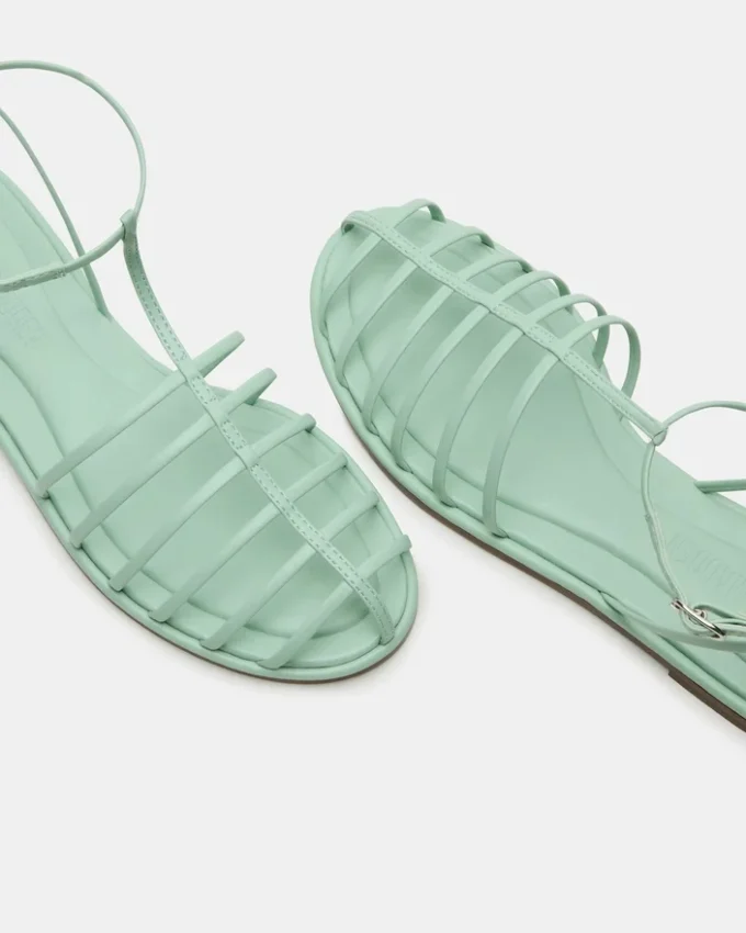 Marin Pistachio Marin Pistachio