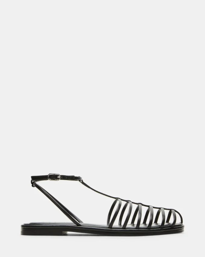 Marin Schwarz Marin Schwarz