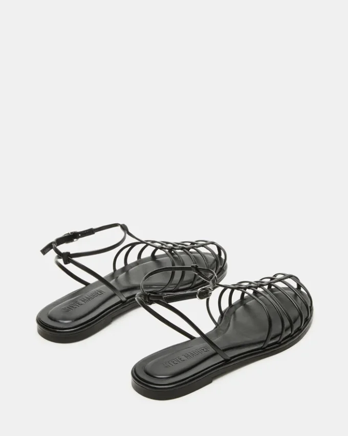 Marin Schwarz Marin Schwarz