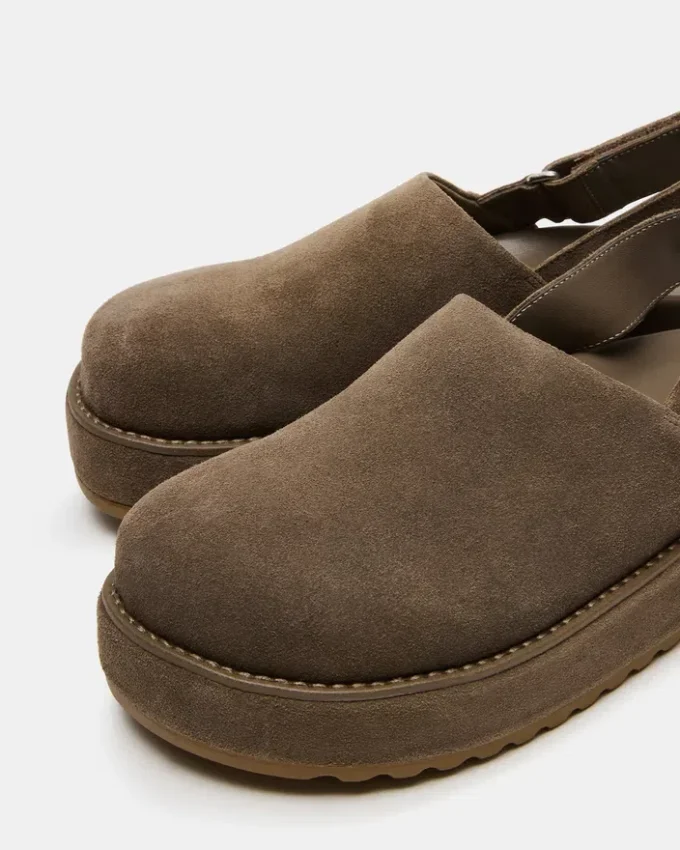 Mellow Grey Sage Mellow Grey Sage