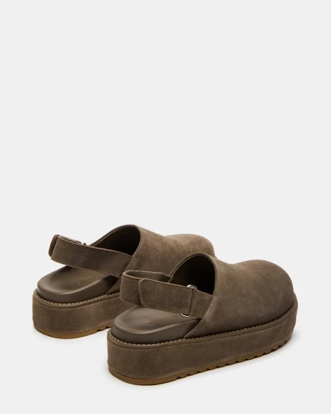 Mellow Grey Sage Mellow Grey Sage