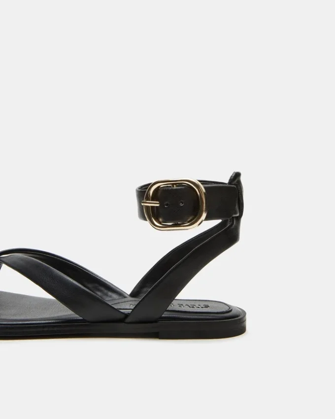 Nashira Schwarz Nashira Schwarz