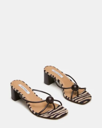 Raquelle Braun Multi