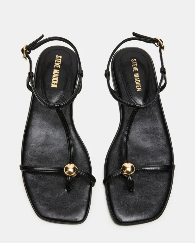 Ritzy Black Ritzy Black