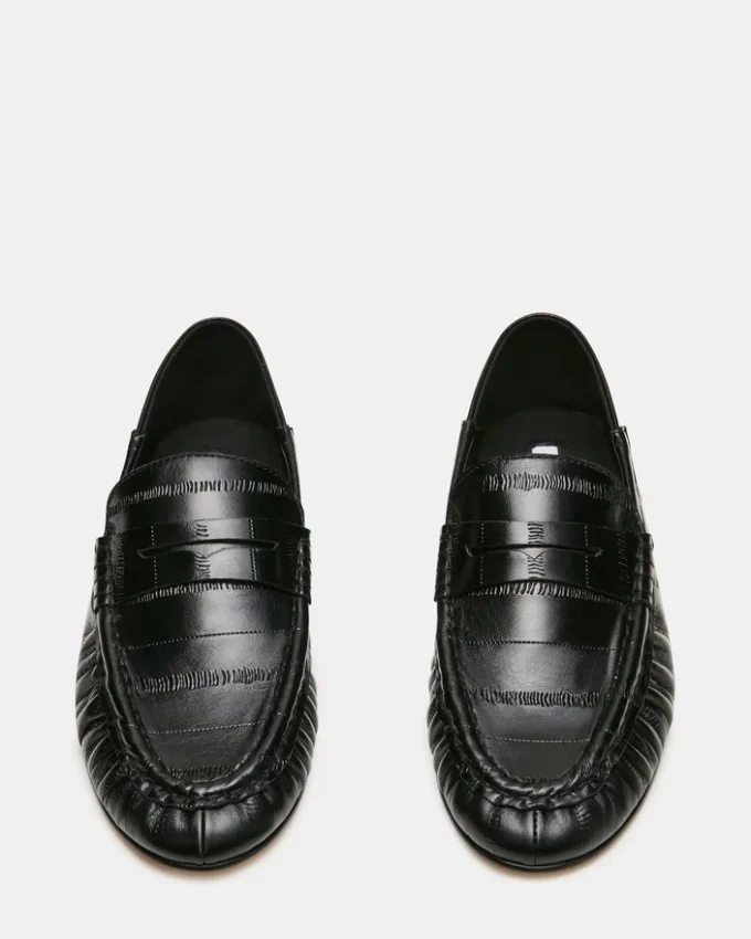 Roger Black Eel Roger Black Eel