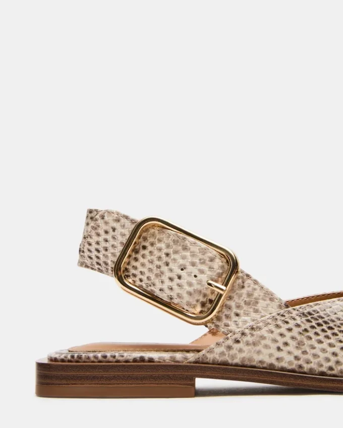 Shay Snake Shay Snake