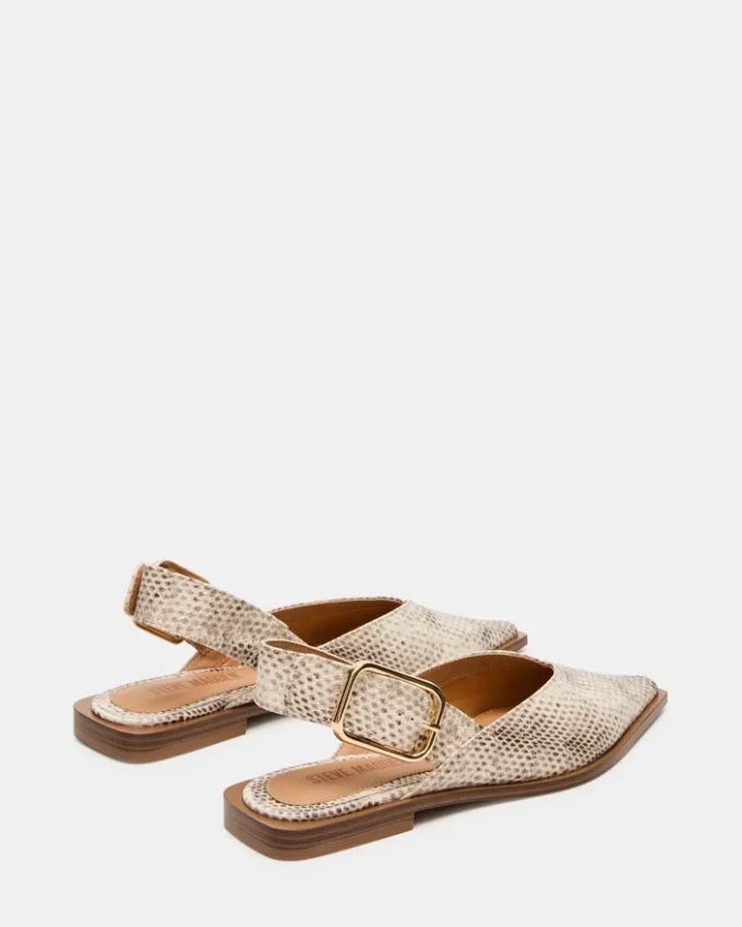 Shay Snake Shay Snake